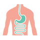 Illustration for article titled Genetically-Engineered Bacteria Can Keep Mice From Getting Fat